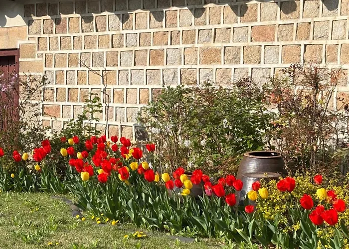 Near The President Palace